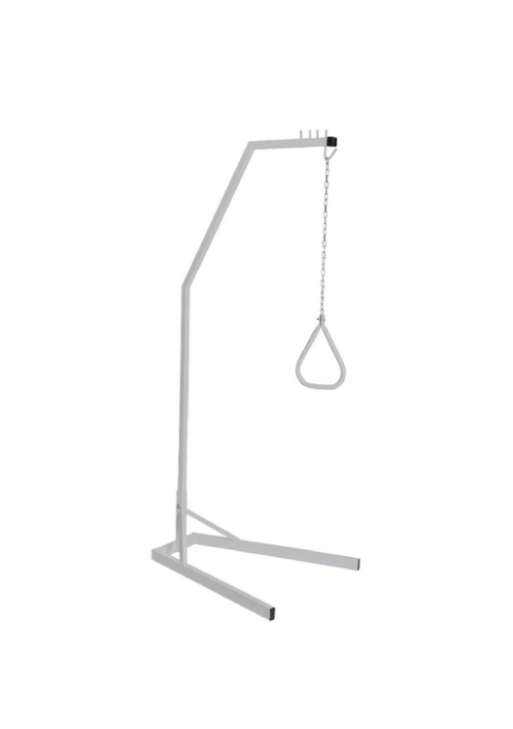 Overbed lifting pole and handle